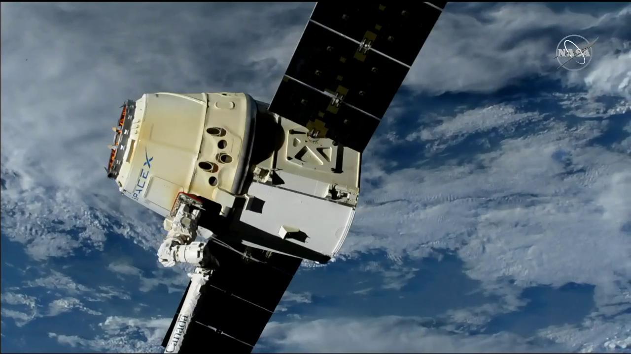 The SpaceX Dragon resupply ship is in the grips of the Canadarm2