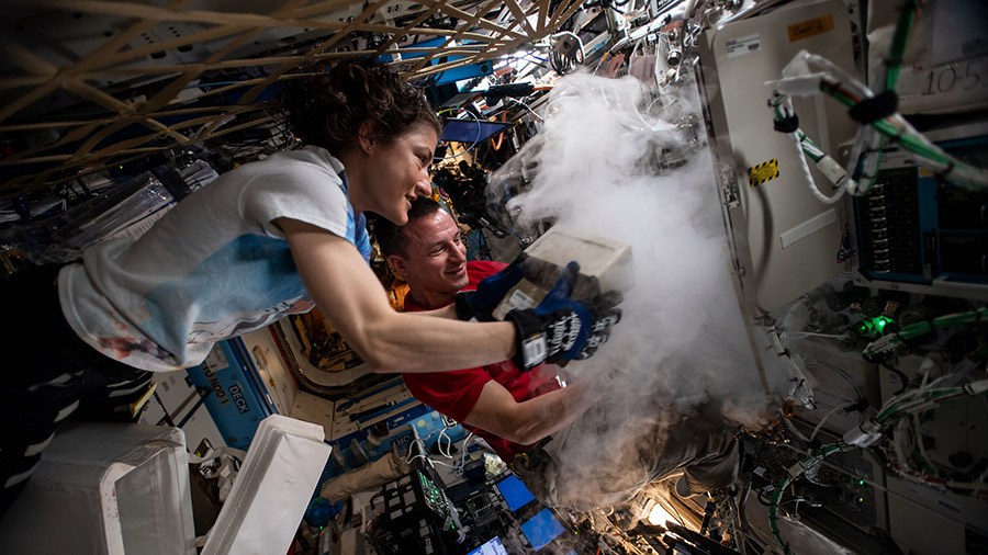 NASA astronauts Christina Koch and Andrew Morgan stow biological research samples into a science freezer located inside the U.S. Destiny laboratory module. Credit: NASA