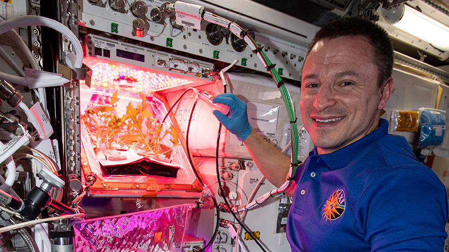 NASA astronaut Andrew Morgan waters plants on the station