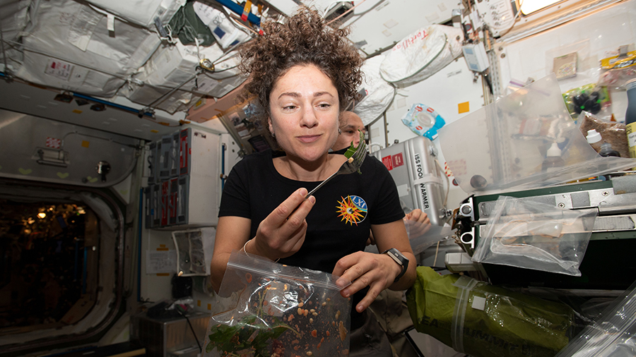 Space Gardening Aboard Station Ahead of Spacewalks – Space Station