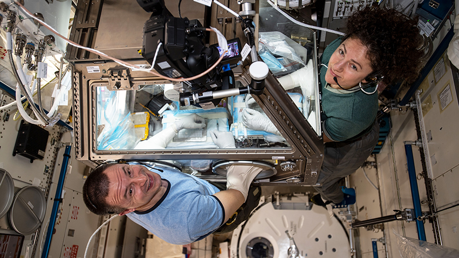 NASA astronauts Andrew Morgan and Jessica Meir conduct research operations