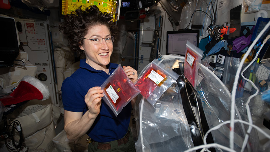 NASA astronaut Christina Koch