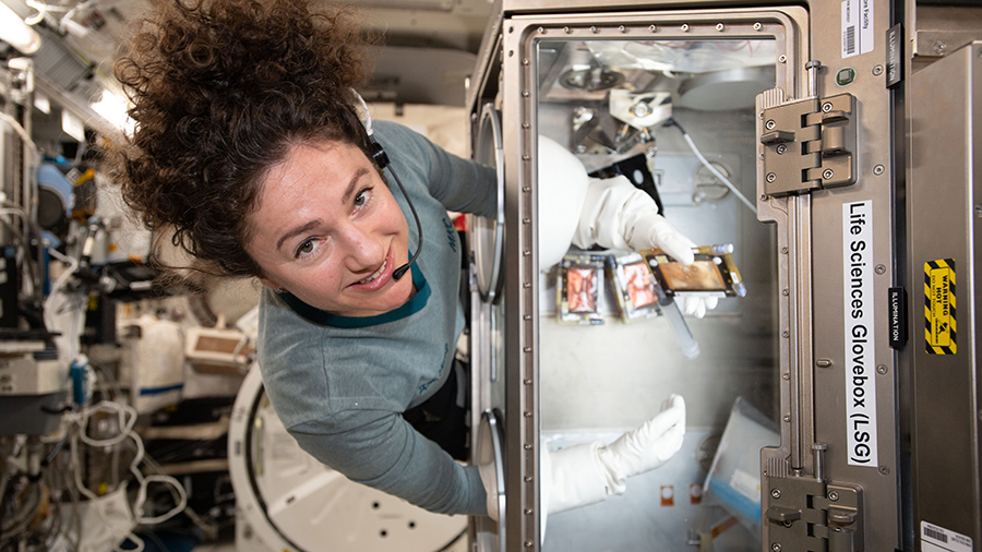 Expedition 62 Flight Engineer Jessica Meir