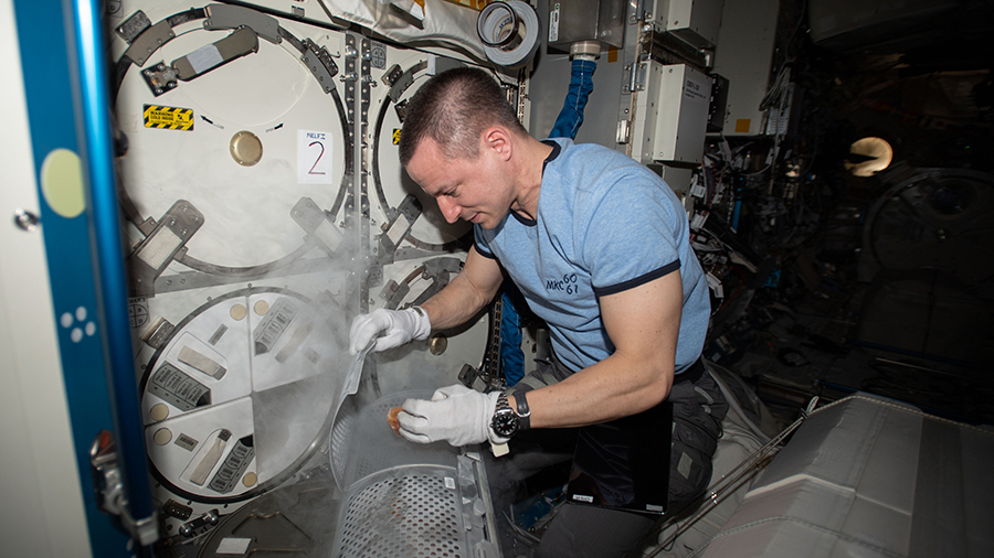 NASA astronaut Andrew Morgan retrieves gut microbe samples