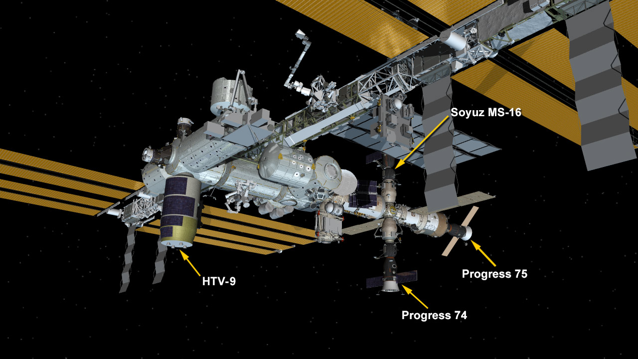 File:ISS-50 Crew quarters in the Harmony module.jpg - Wikimedia Commons