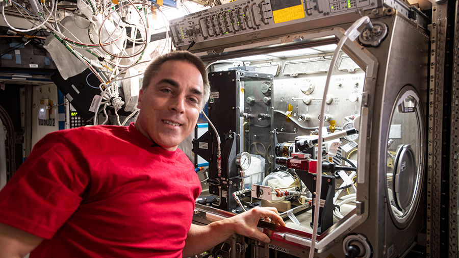 NASA astronaut Chris Cassidy installs fluid research hardware inside the U.S. Destiny laboratory module's Microgravity Science Glovebox.