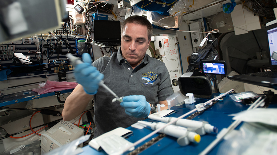 Expedition 63 Commander Chris Cassidy services microbial DNA samples for sequencing and identification aboard the space station's Harmony module.