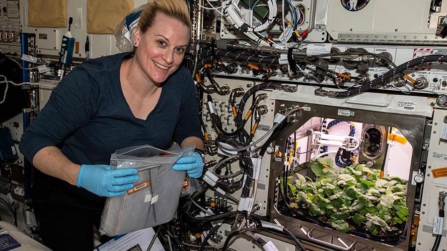 Astronaut Kate Rubins checks out radish plants growing for the Plant Habitat-02 experiment that seeks to optimize plant growth in space.