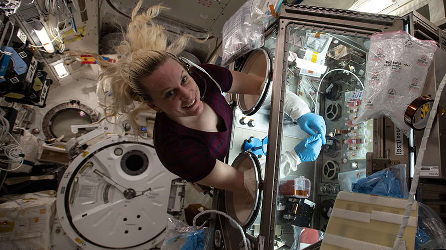 Expedition 64 Flight Engineer Kate Rubins works inside the Life Sciences Glovebox conducting research for the Cardinal Heart study.