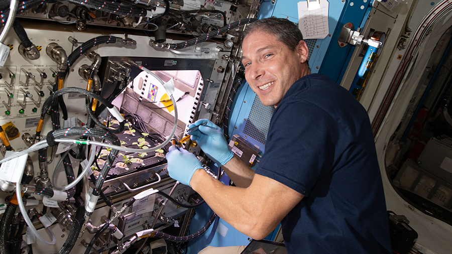 Expedition 64 Flight Engineer Michael Hopkins checks on young radish plants growing for the Plant Habitat-02 experiment that seeks to optimize plant growth in space.