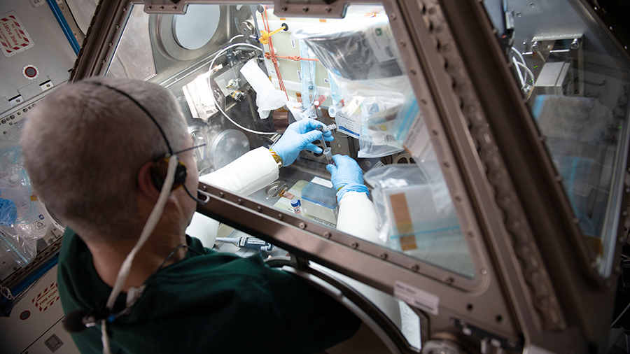 Astronaut Mark Vande Hei works on the Celestial Immunity study that may provide insights into new treatments for diseases on Earth.