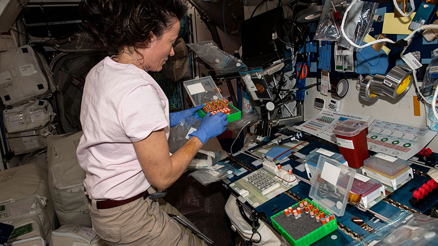 Expedition 65 Flight Engineer Megan McArthur works on a protein crystal experiment potentially benefitting pharmaceutical and biotechnology companies on Earth.