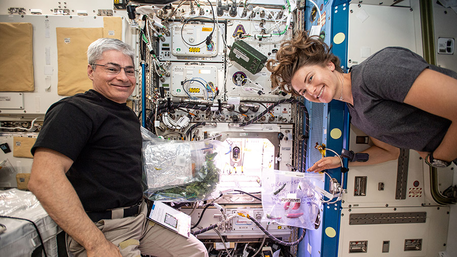 NASA astronauts Mark Vande Hei and Kayla Barron are pictured in front of the International Space Station's Advanced Plant Habitat.