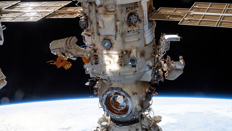 Crew Studies Life Science, Botany and Prepares for Spacewalk – Space ...