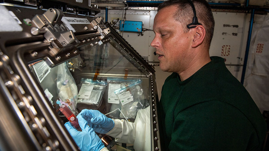 NASA astronaut Bob Hines works inside the Kibo laboratory module's Life Science Glovebox performing space biology research.