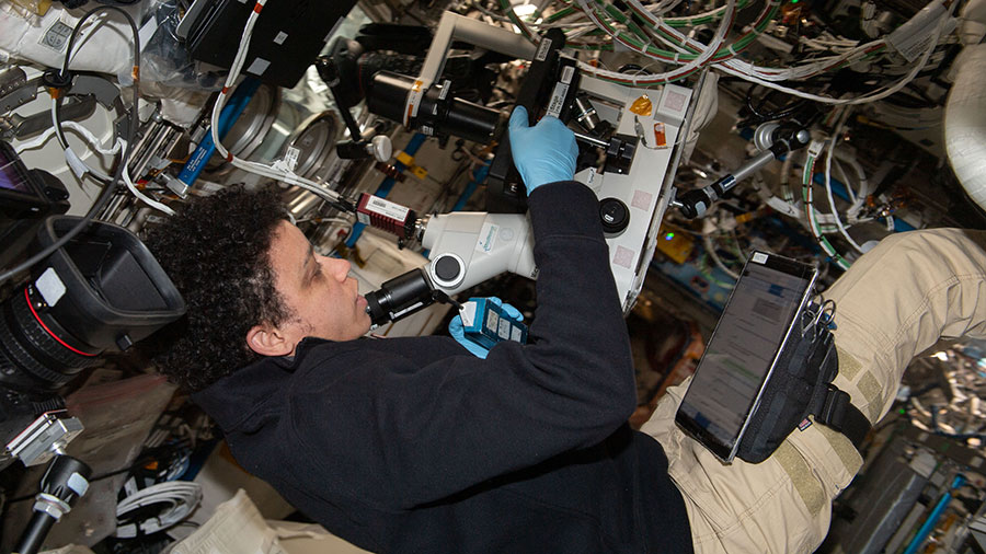 Astronaut Jessica Watkins sets up cell samples for viewing in a microscope for an immune system aging study.