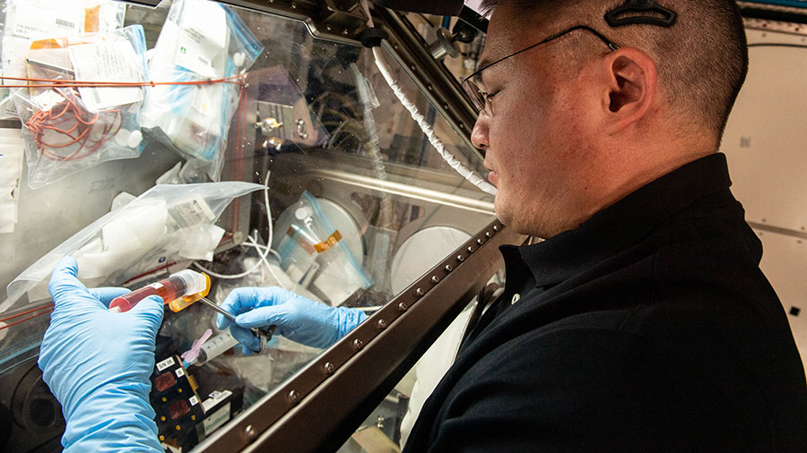 Astronaut Kjell Lindgren processes samples to explore the immunological aging of cells in microgravity possibly informing therapies on Earth and in space.