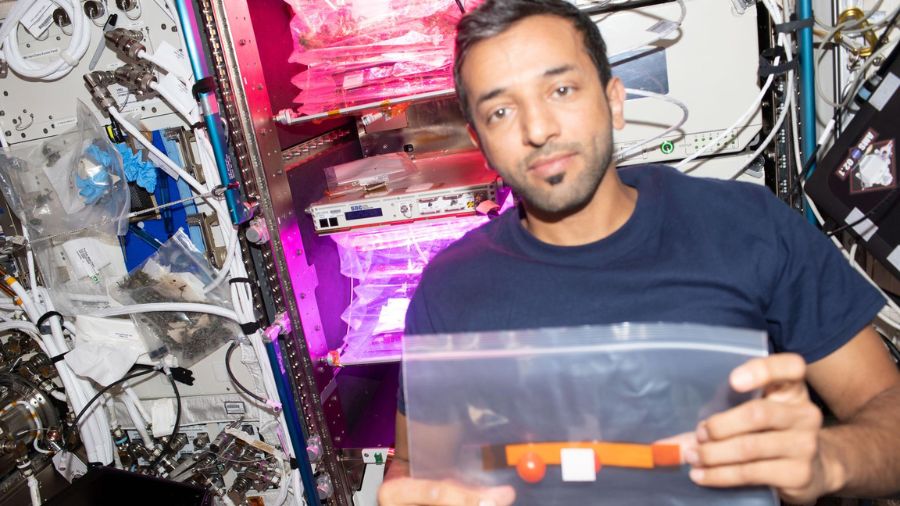 Expedition 68 Flight Engineer Sultan Alneyadi from UAE (United Arab Emirates) harvests tomatoes grown aboard the International Space Station and stows samples in a bag for later analysis as part of the Veg-05 space botany investigation on Mar. 7, 2023.