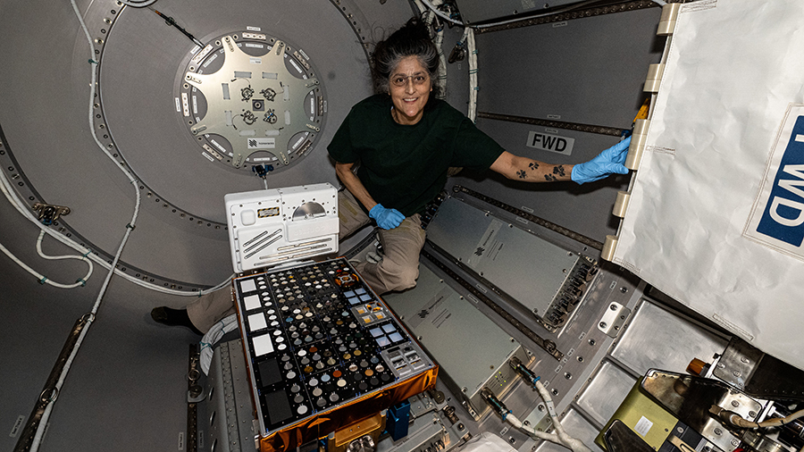 Astronaut Suni Williams installs the European Materials Ageing experiment hardware inside the Nanoracks Bishop airlock that will expose a variety of materials to the vacuum of space for about a year.