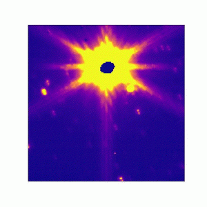 A royal blue dot is surrounded by neon yellow, with eight yellow spikes tipped in red. It moves across a royal blue background, from the top third of the image to the top of the image.