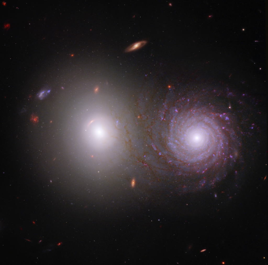 The majority of the image shows the black background of space. Two large, very bright galaxies dominate the center of the image. The elliptical galaxy at left is extremely bright at its circular core, with dimmer white light extending to its transparent circular edges. At right is a bright spiral galaxy. It also has a bright white core, but has red and light purple spiral arms that start at the center and turn clockwise going outward. They end in faint red and appear to overlap the elliptical galaxy at left. Throughout the scene are a range of distant galaxies, the majority of which are very tiny and red, appearing as splotches.