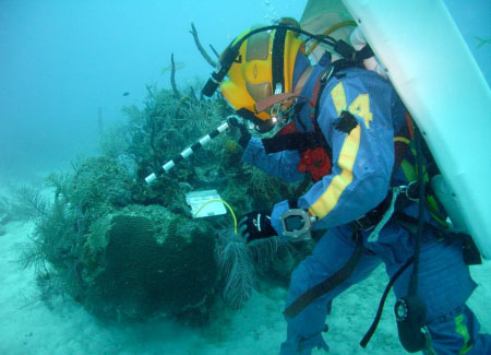 Coral mound in the Conch Reef