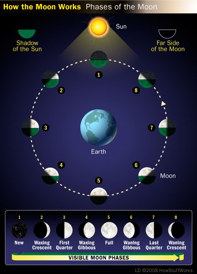 How the Moon Works - Moon Phases