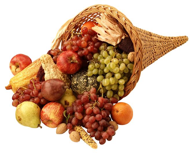 Cornucopia filled with fruit and grain