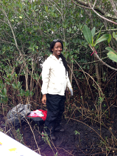 Melissa conducting fieldwork in a Florida mangrove forest | Image Credit: Katrina Laygo