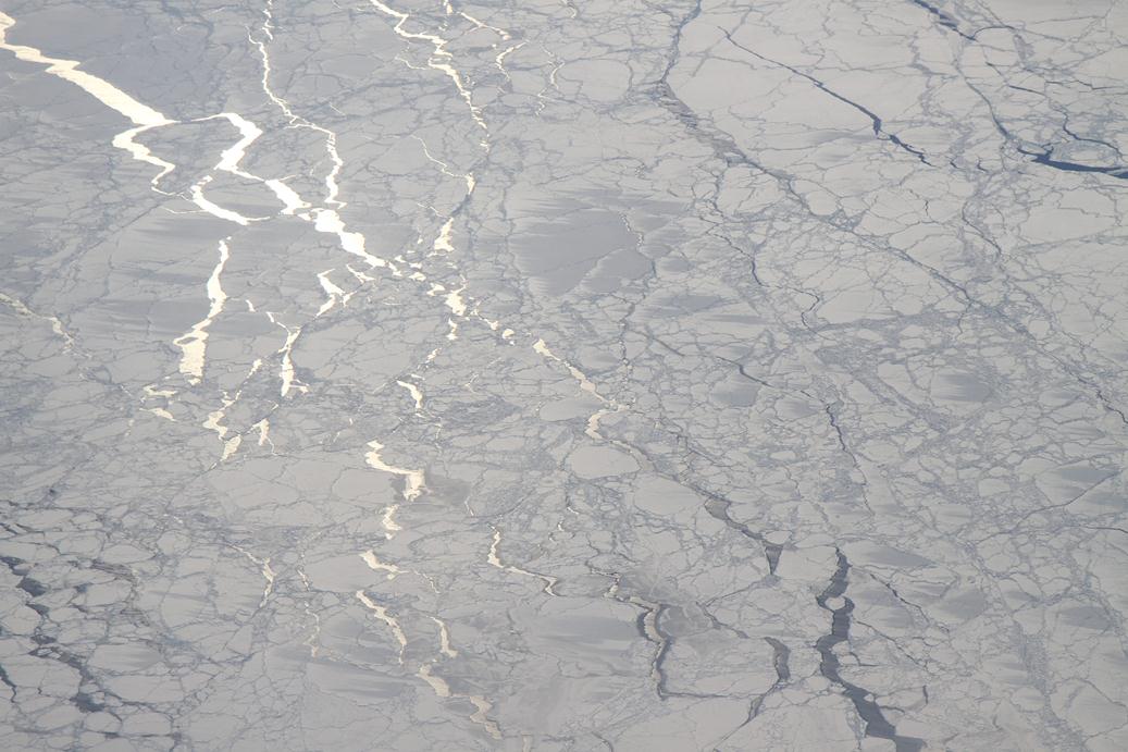 Sunlight reflecting off refrozen leads in sea ice in the Bellingshausen Sea.