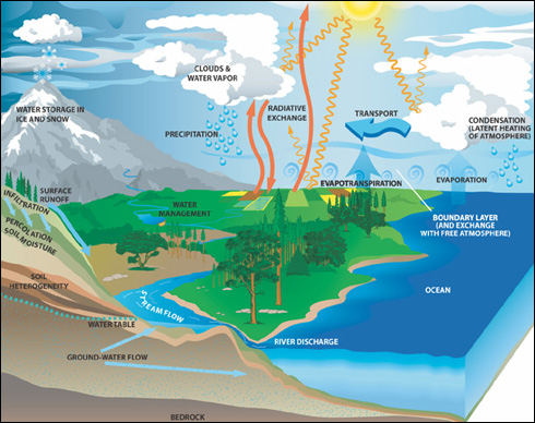 Illustration of Earth's water cycle