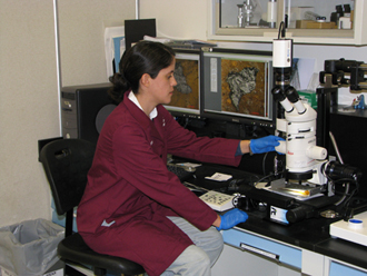 Clara Wright at a microscope in the failure analysis lab