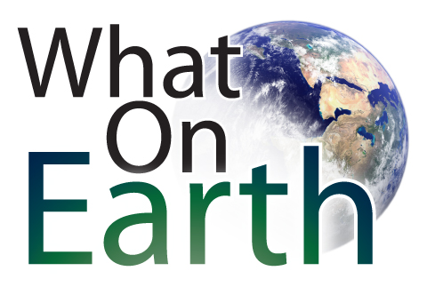 On earth перевод песни. What on Earth. What on Earth перевод.