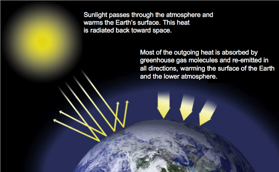 Is CFC a Greenhouse Gas  - 63